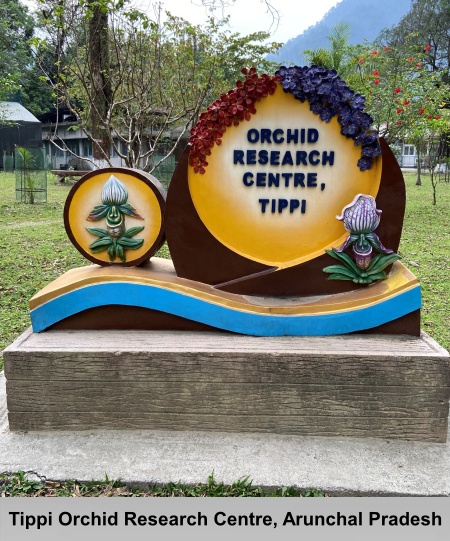 Tippi Orchid Research Centre, Arunachal Pradesh